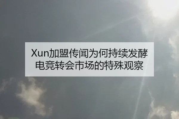 Xun加盟传闻为何持续发酵 电竞转会市场的特殊观察